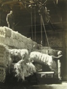 lankhorst