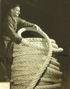 lankhorst